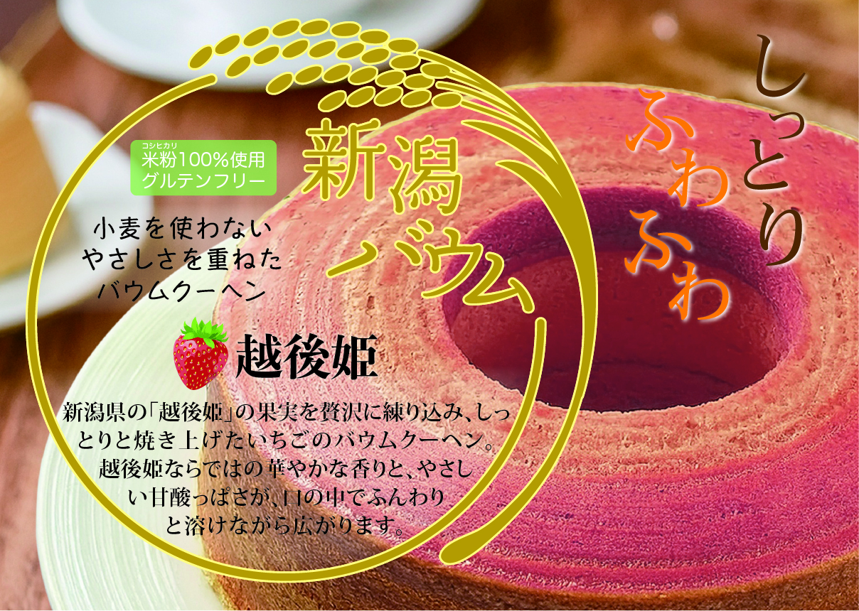越後姫説明