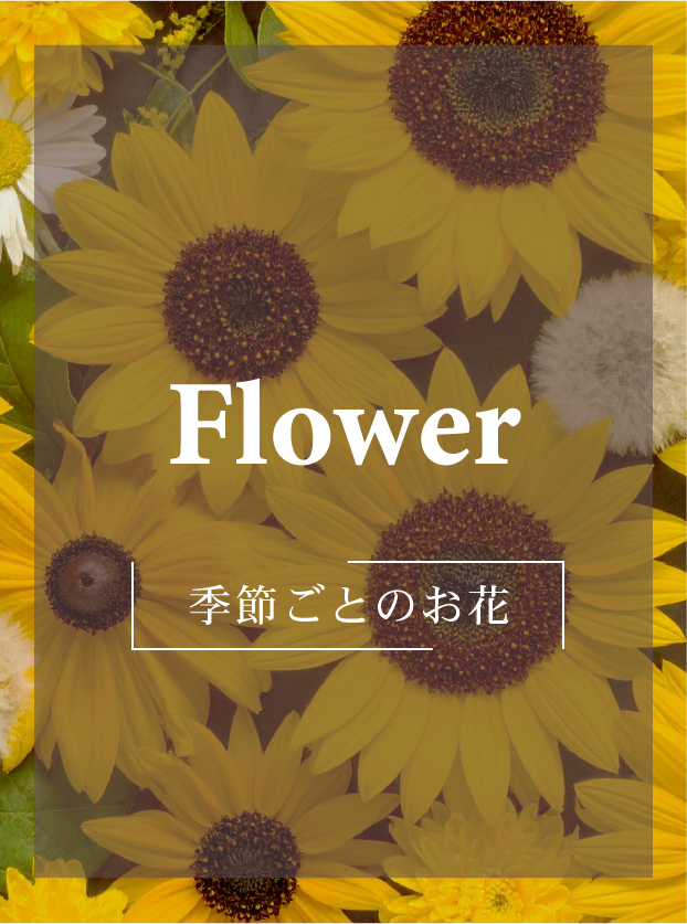 季節ごとのお花