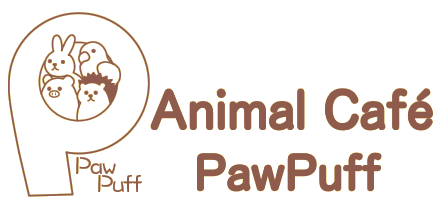 logo1