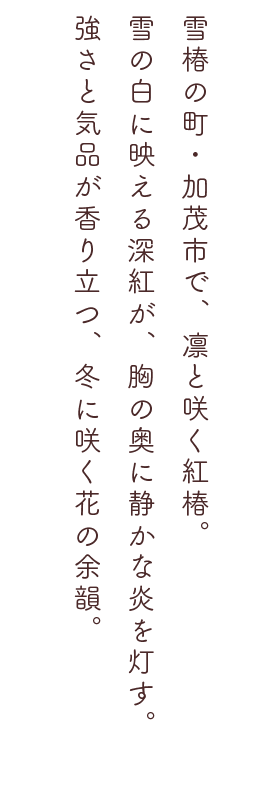 キャッチコピー