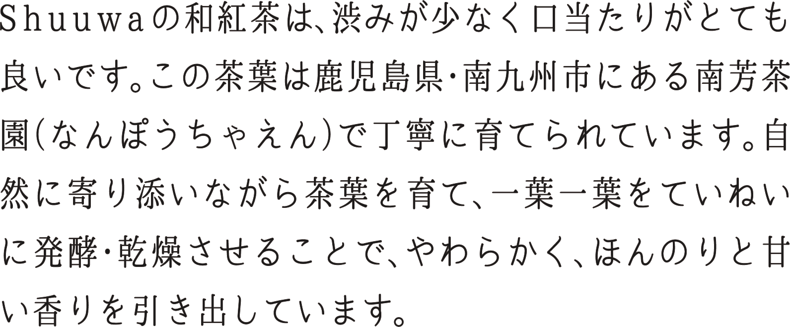 Shuuwaの和紅茶は渋みが少なく…