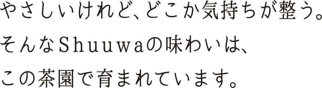 優しいけれど、どこか気持ちが整う…