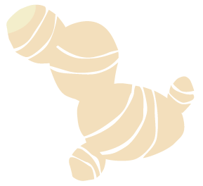 生姜イラスト
