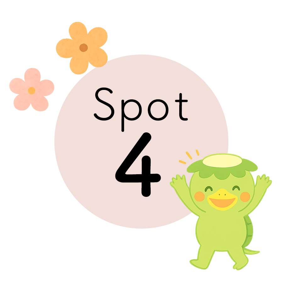 SPOT4