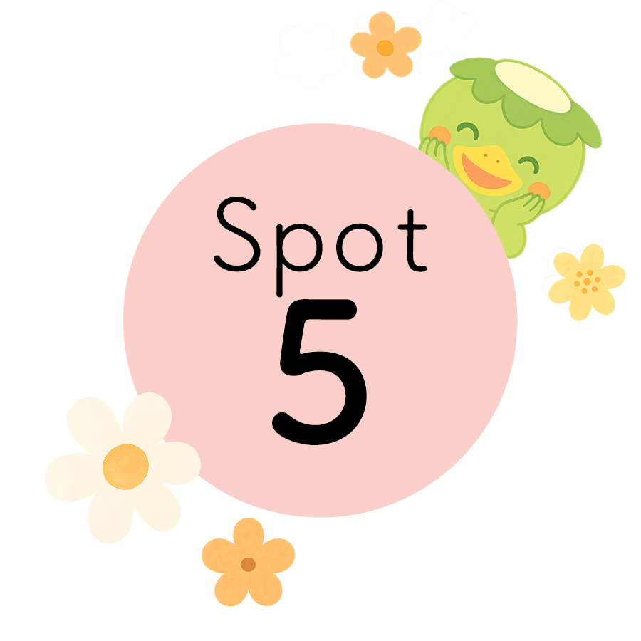 SPOT5
