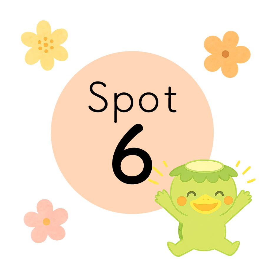SPOT6
