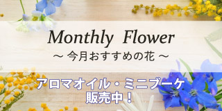 今月のおすすめの花