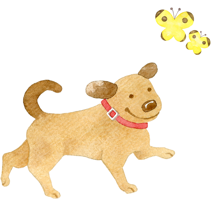 犬と蝶々