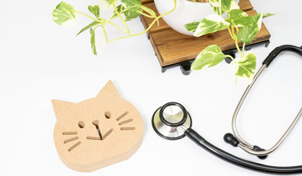 猫の置き物の写真