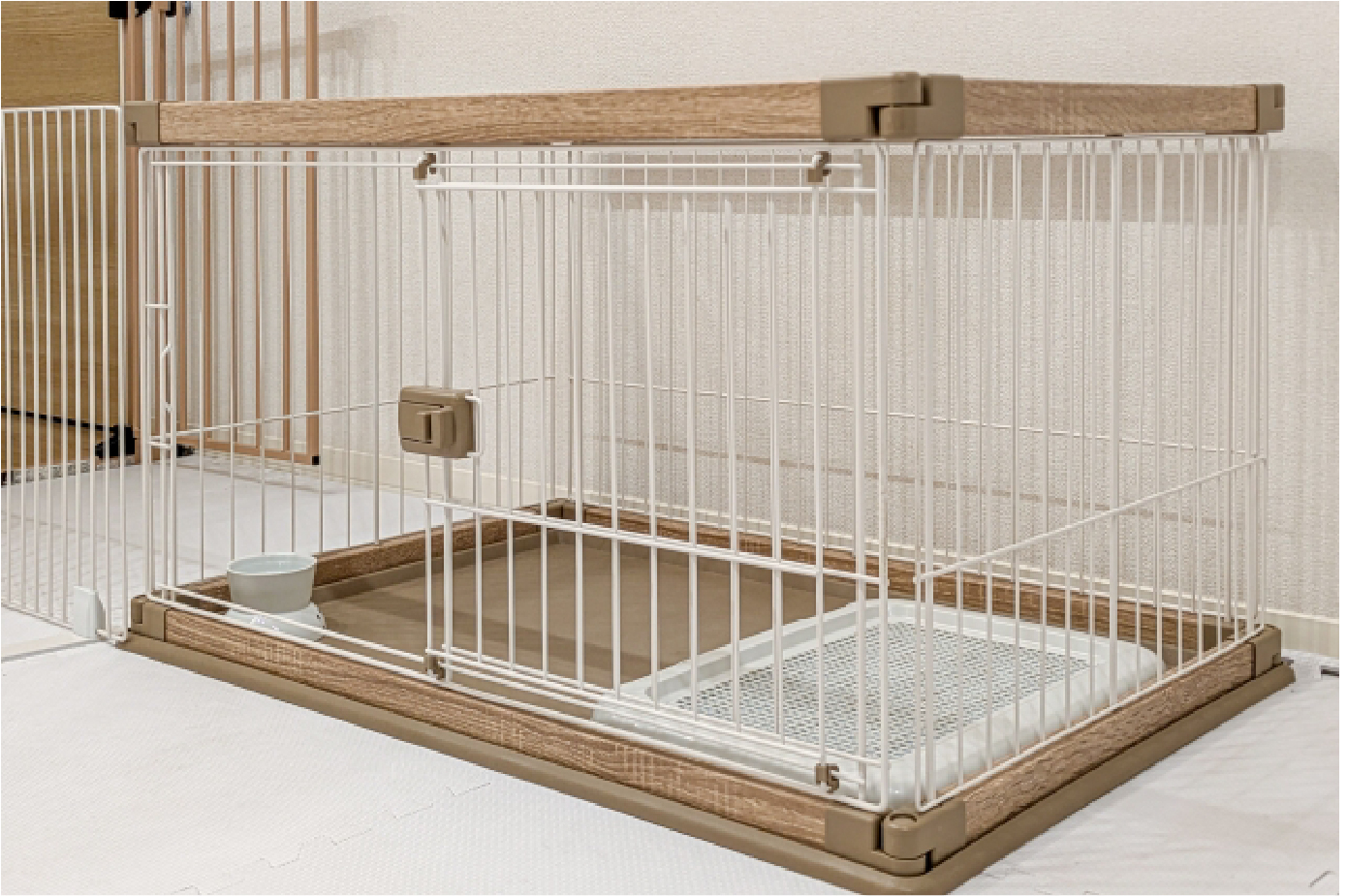 ペットホテルの写真