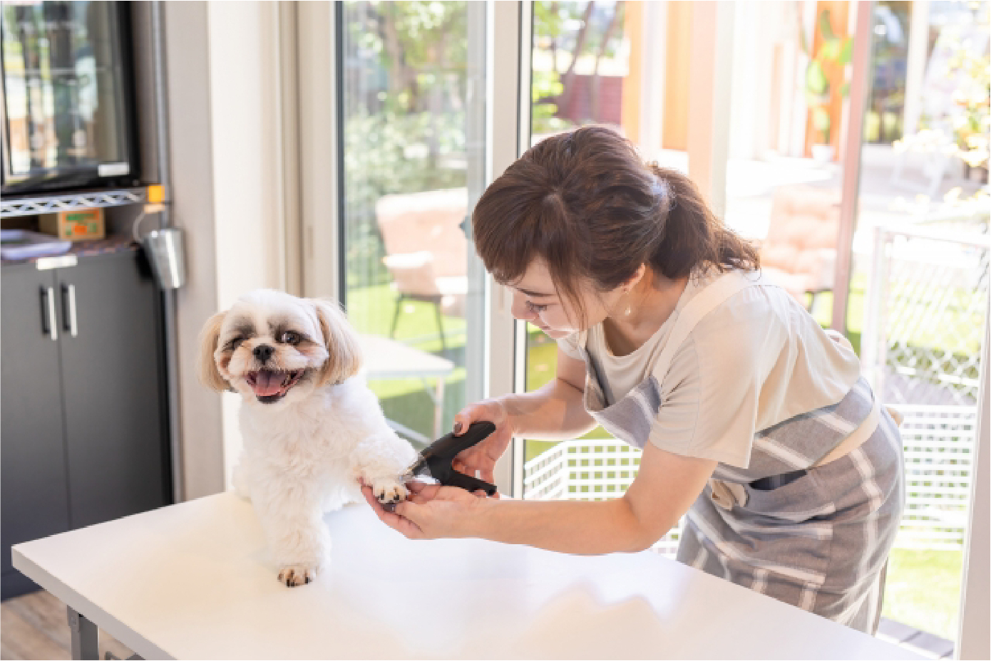トリミングルームの写真