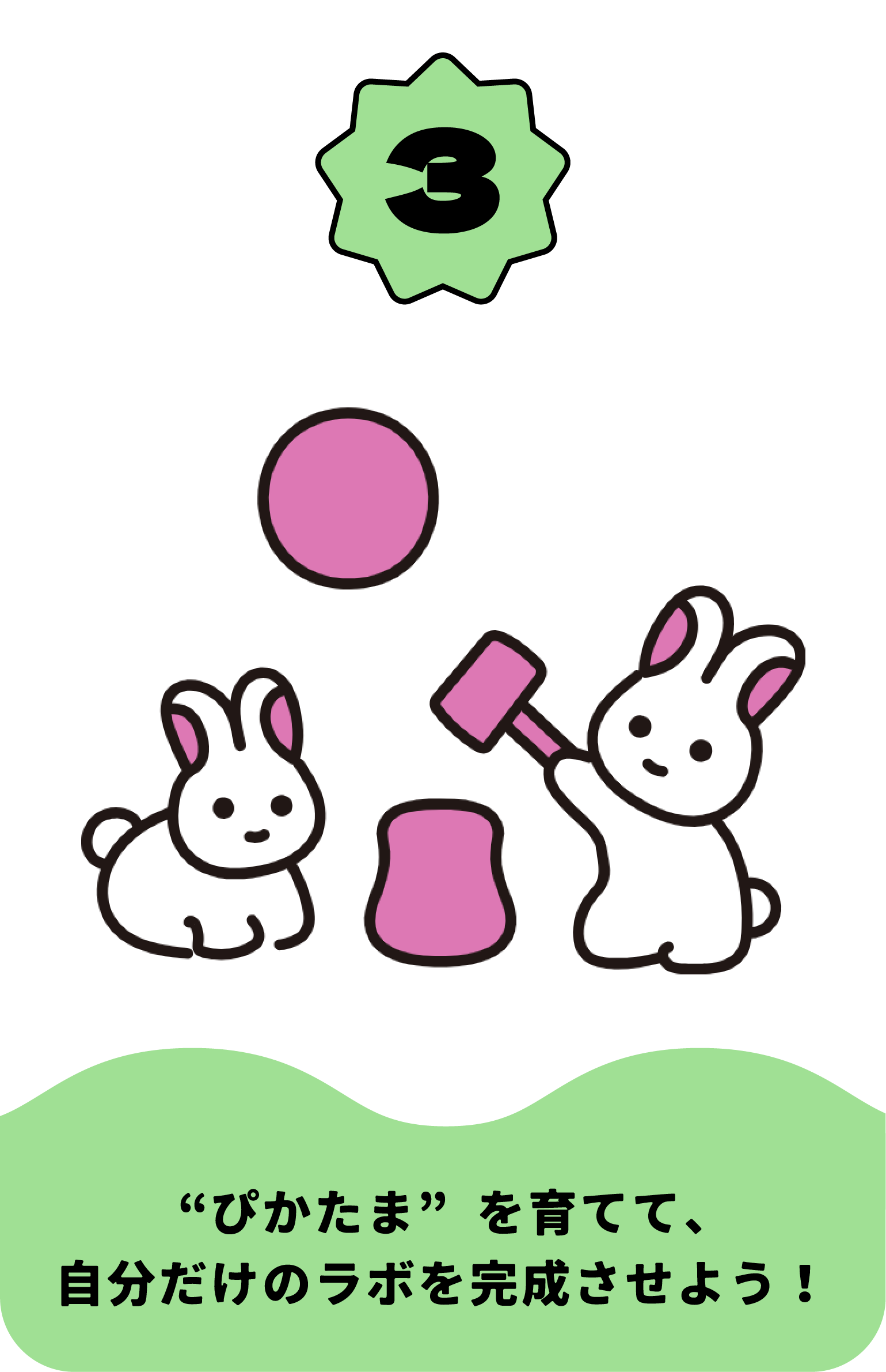 ぴかたまを育てて、自分だけのラボを完成させよう!