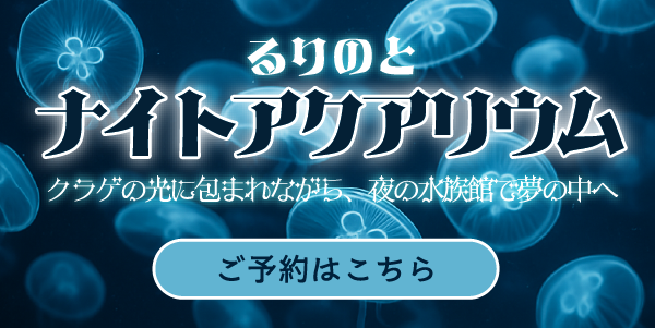 ナイトアクアリウムのバナー