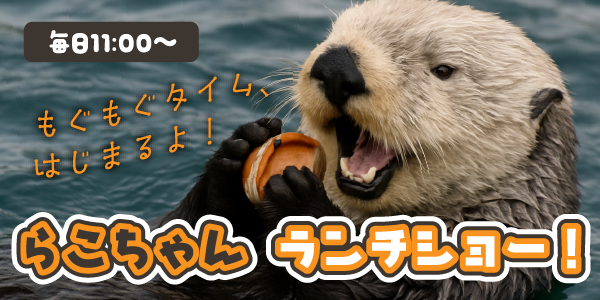 らこちゃんランチショーのバナー