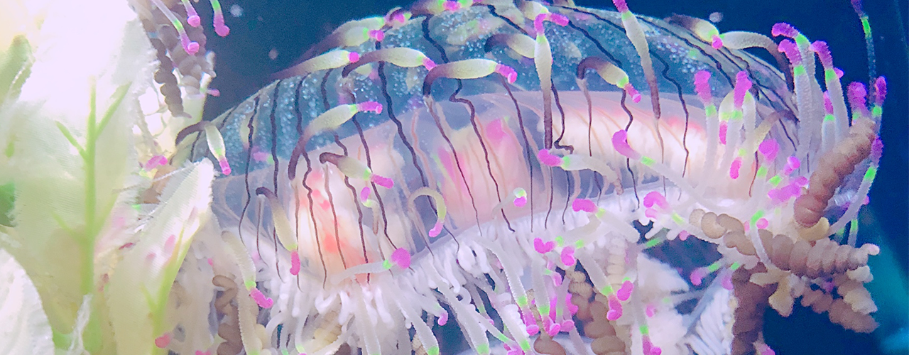 フロアマップのメインビジュアル