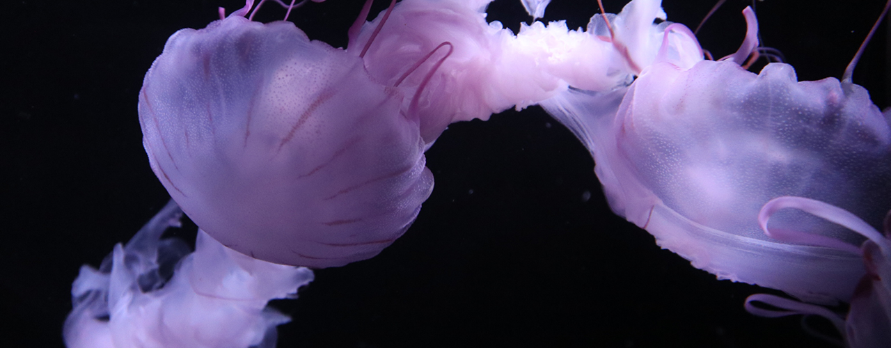 営業時間・料金のメインビジュアル