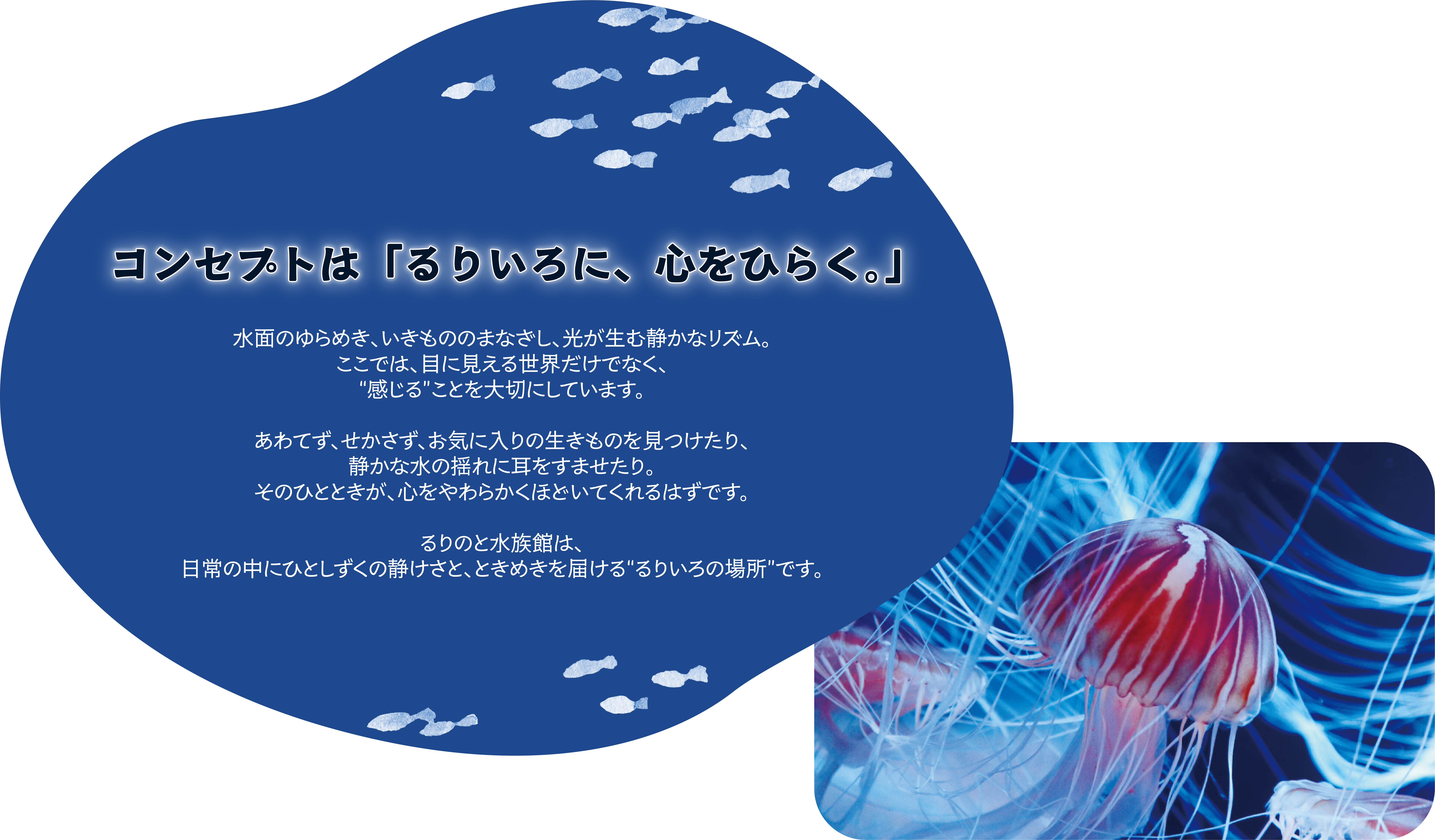 コンセプトはるりいろに、心をひらくの説明