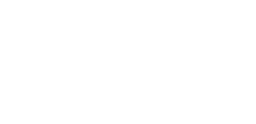 NEXAREALSロゴ
