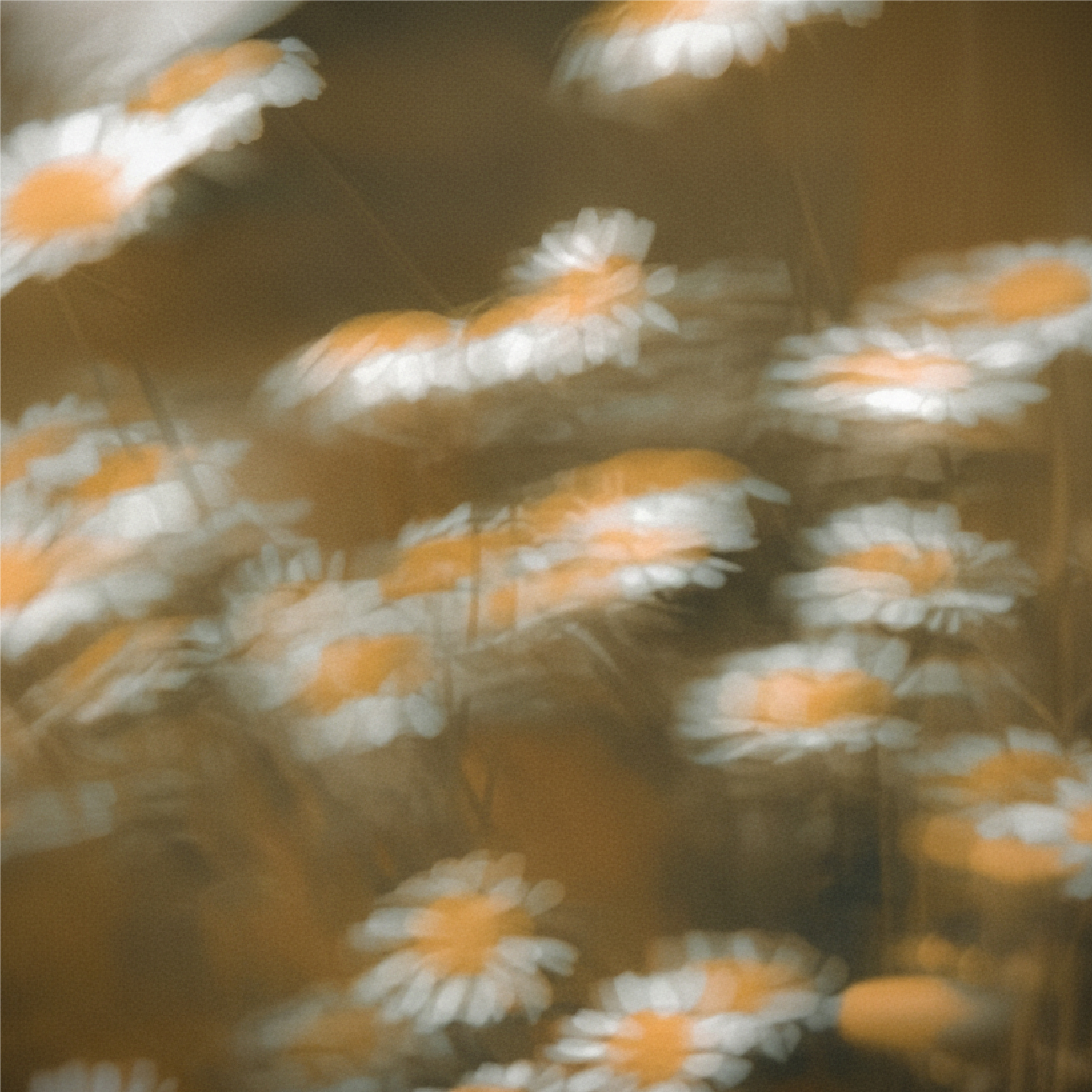 OUR PHILOSOPHY イメージ