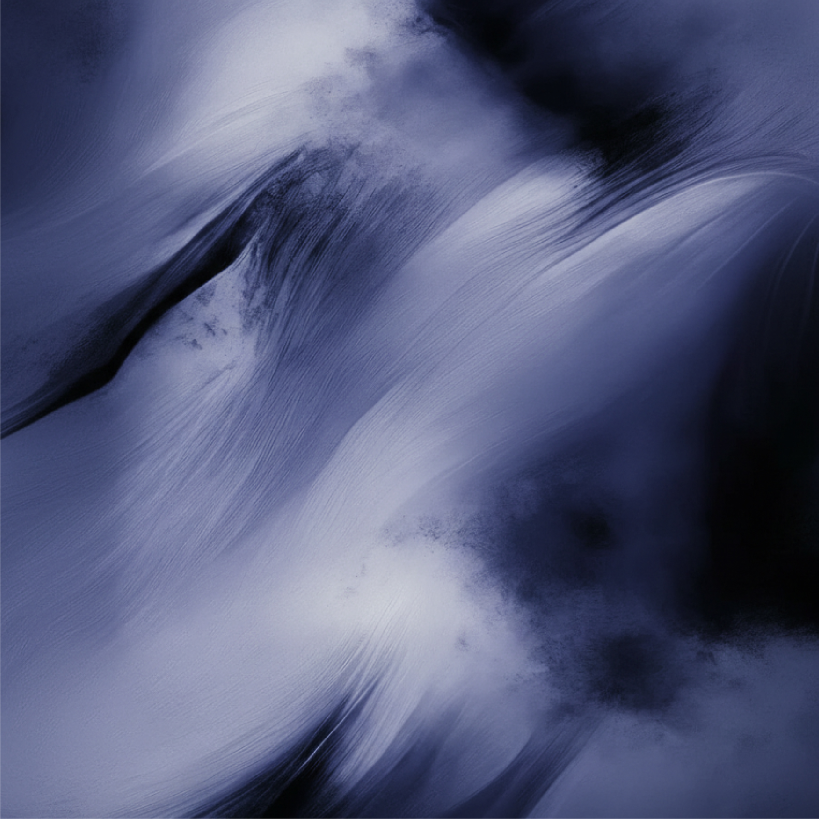 OUR ROOTS イメージ