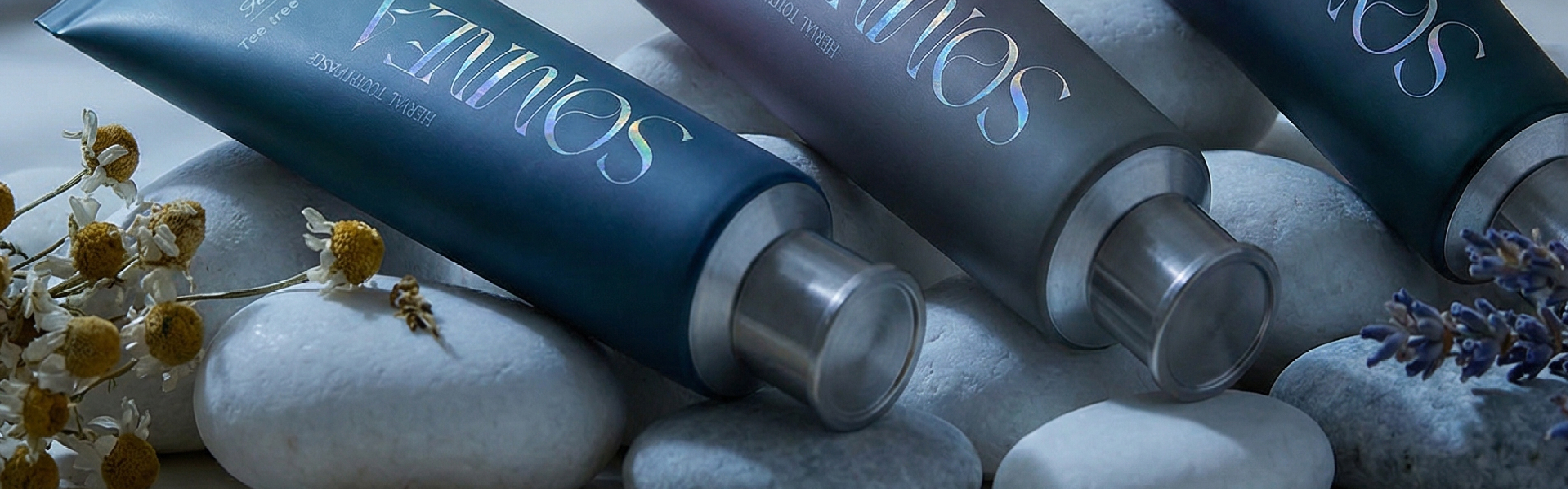 SOMNEA about us メインビジュアル