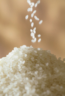 新潟県産コシヒカリ