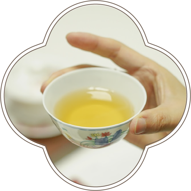 安里山金萱の写真