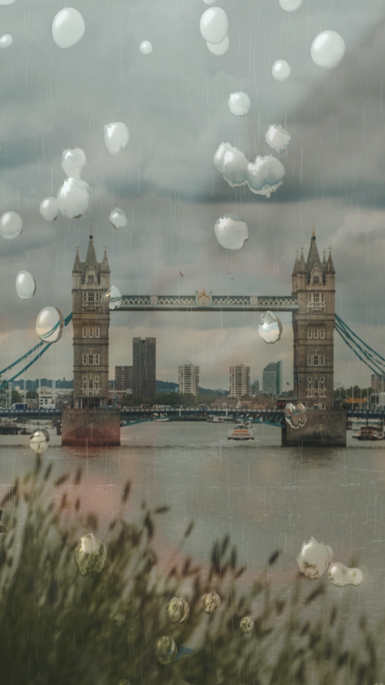 ファーストビュー画像