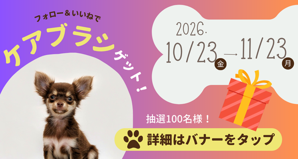 ペットショップJohn メインビジュアル