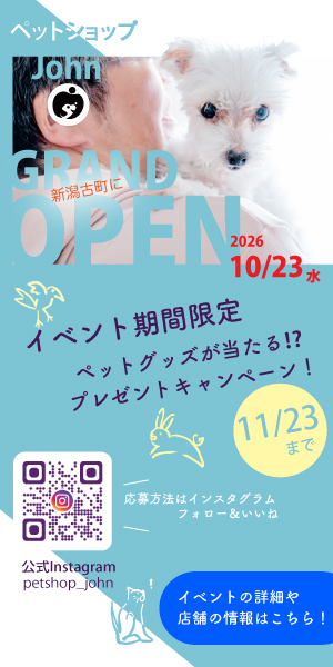 Web広告バナー 300×600