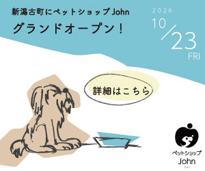 Web広告バナー 300×250