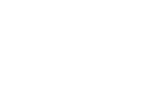 ORIGINAL ENERGY